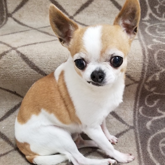 Meet your Posher, Karen - Picture 8 of 10